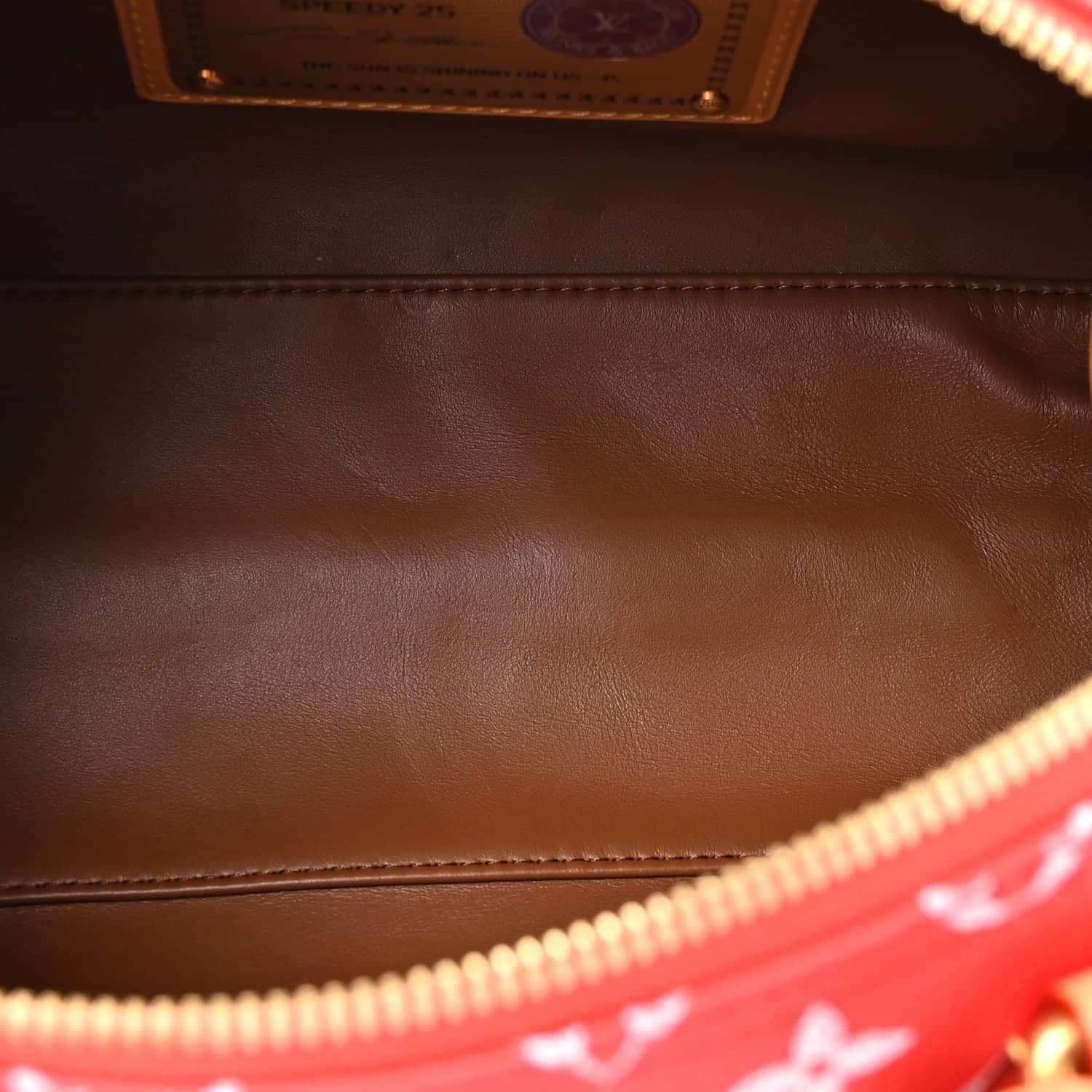 Louis Vuitton Speedy 25 Top Handle Women's bags Blue New