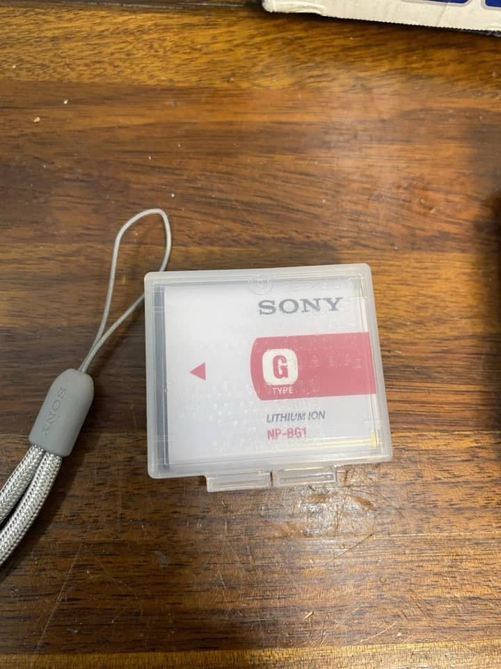 Sony Cyber-shot DSC-W170 Digital Cameras Silver New Body Only