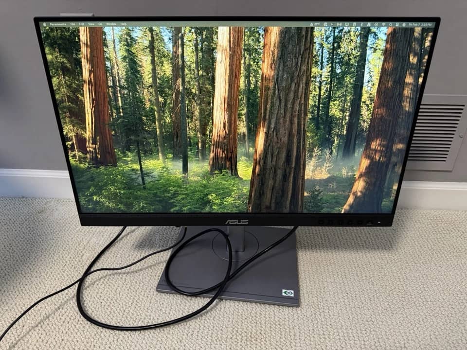 ASUS PA247CV Monitors