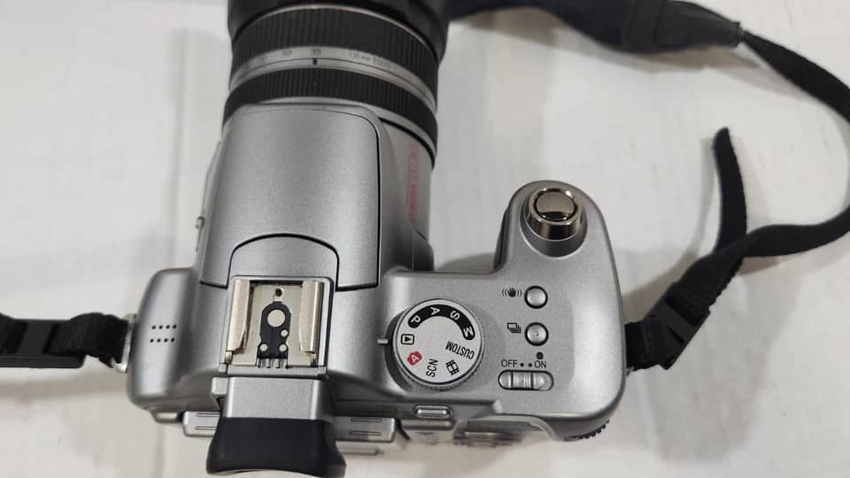 Panasonic LUMIX FZ300 Digital Cameras