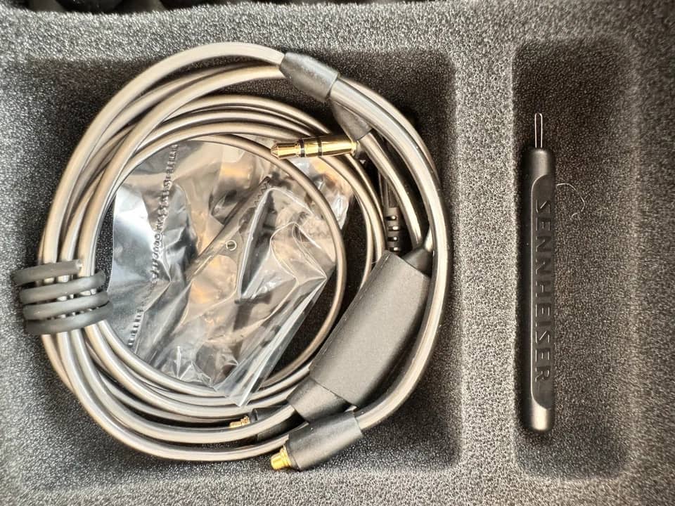 Sennheiser IE 600 Headphones & Earbuds Silver New