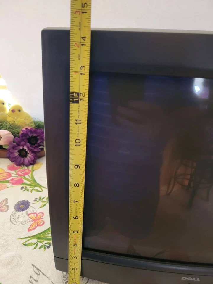 Dell E771P Monitors
