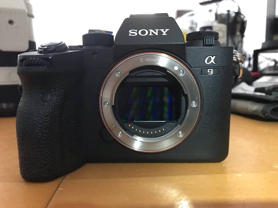 Sony Alpha a9 II Digital Cameras Black New