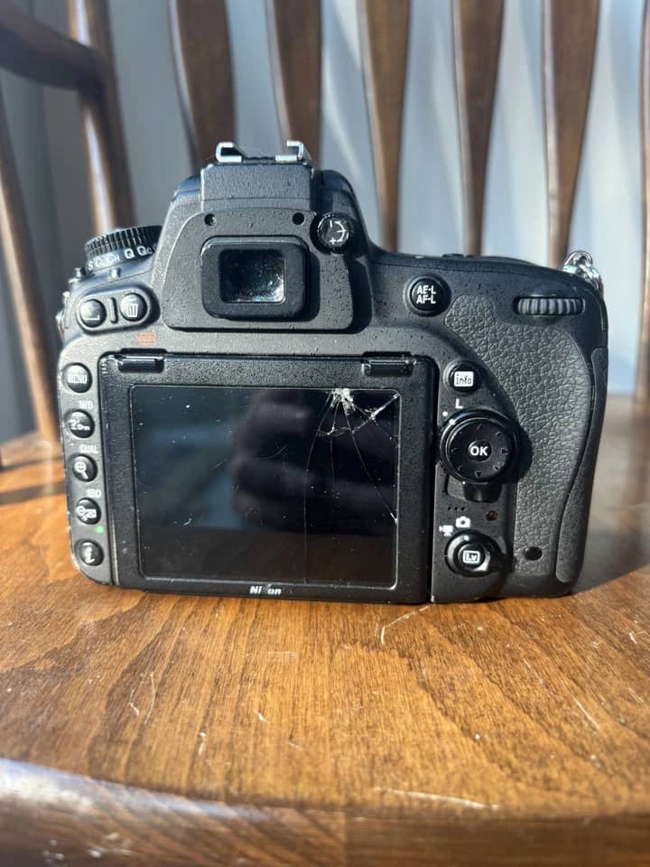 Nikon D750 Digital Cameras