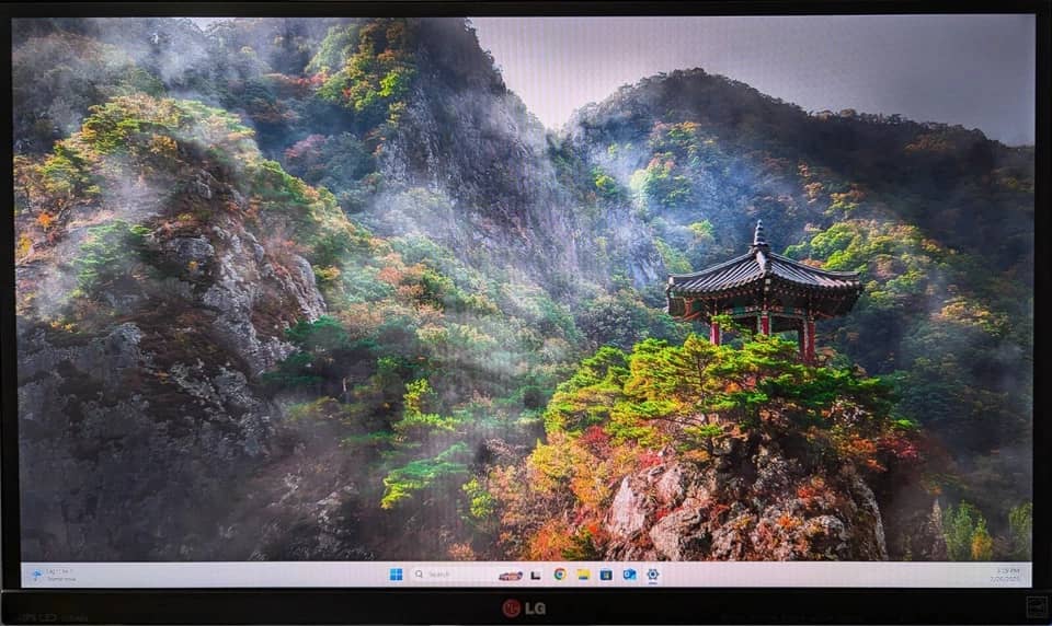 LG 27EA63V Monitors
