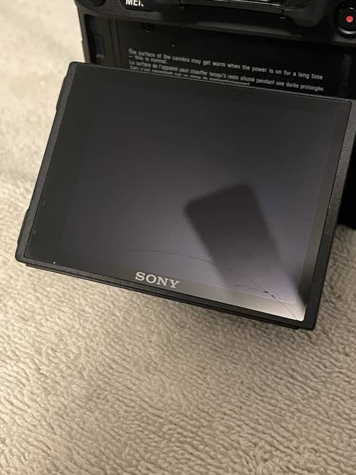 Sony α7 III Digital Cameras