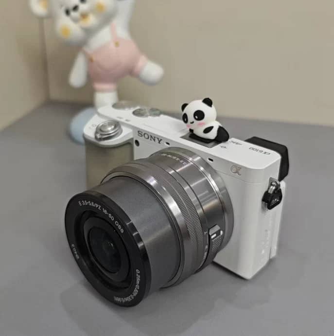 Sony Alpha 6100 Digital Cameras