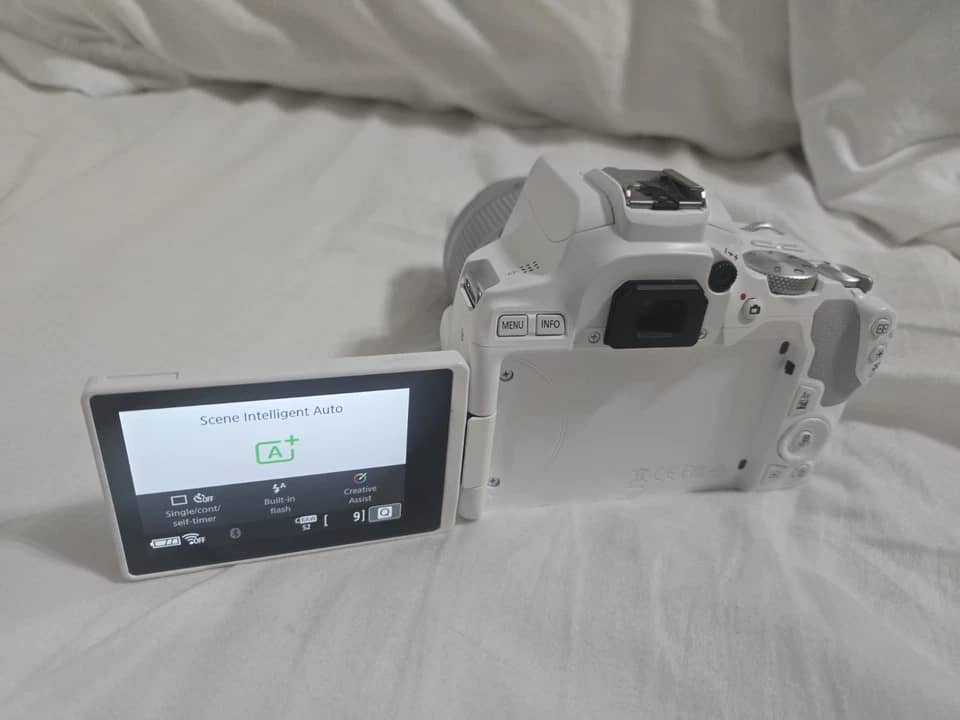 Canon EOS 250D Digital Cameras
