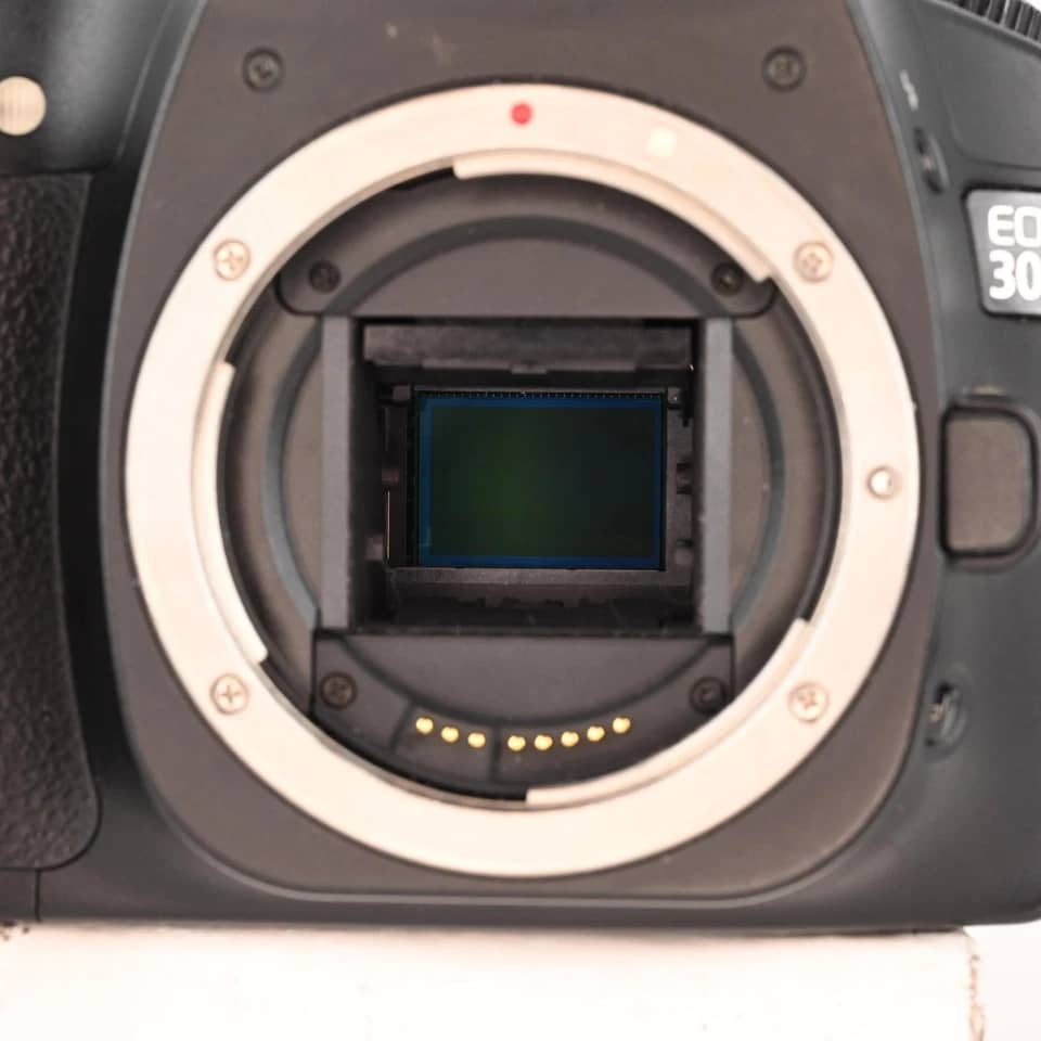 Canon 30D Digital Cameras New