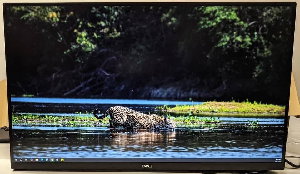 Dell SE2723DS Monitors