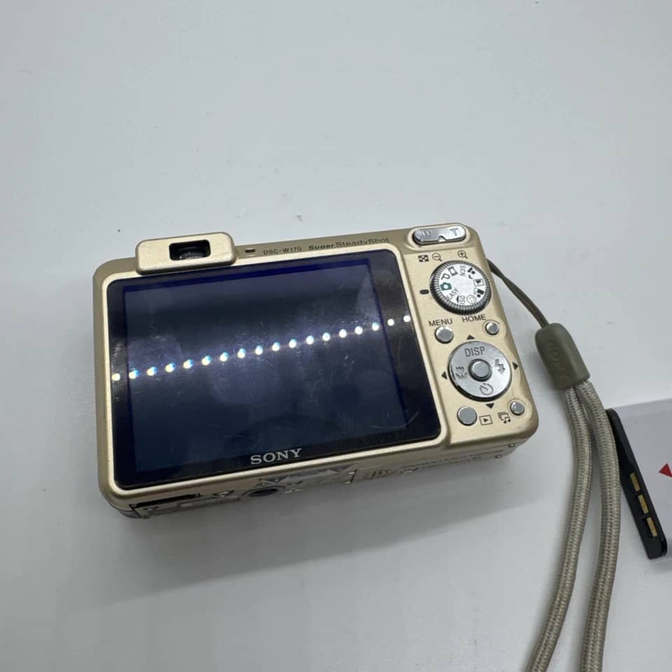 Sony DSCW170 Digital Cameras Gold New Body Only
