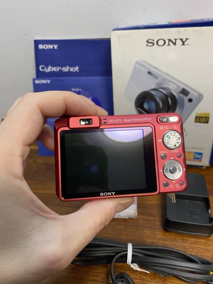 Sony Cyber-shot DSC-W170 Digital Cameras Silver New Body Only