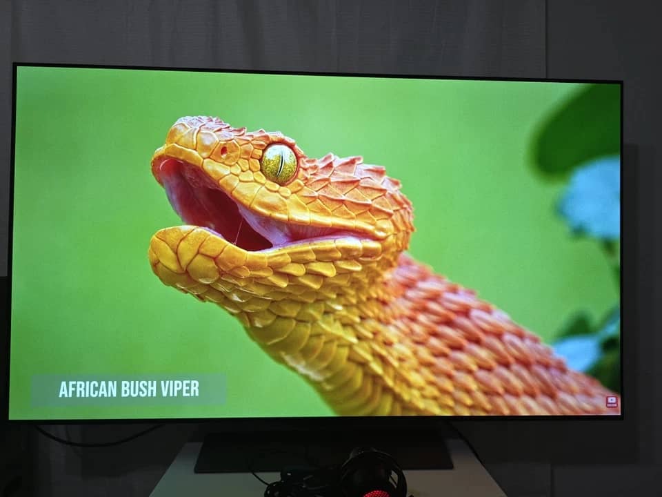 LG OLED55C3PUA TVs