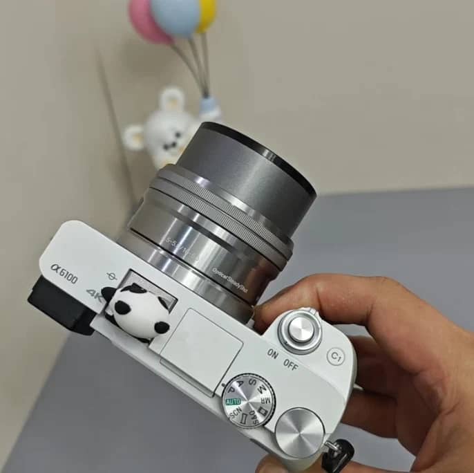 Sony Alpha 6100 Digital Cameras