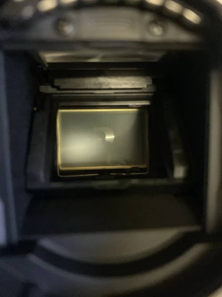 Nikon D7100 Digital Cameras