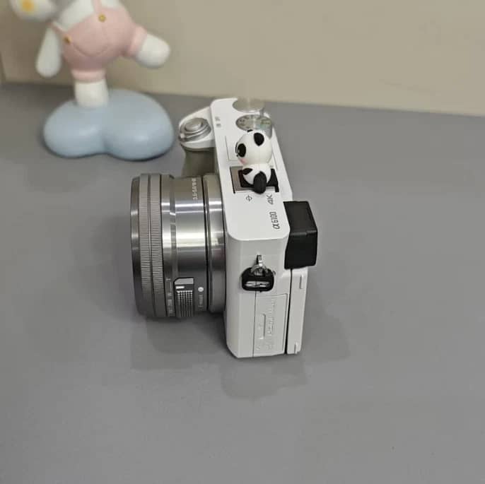 Sony Alpha 6100 Digital Cameras