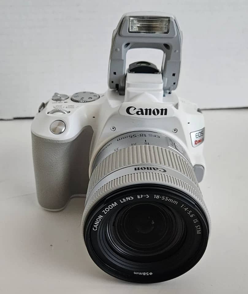 Canon EOS Rebel SL3 Digital Cameras
