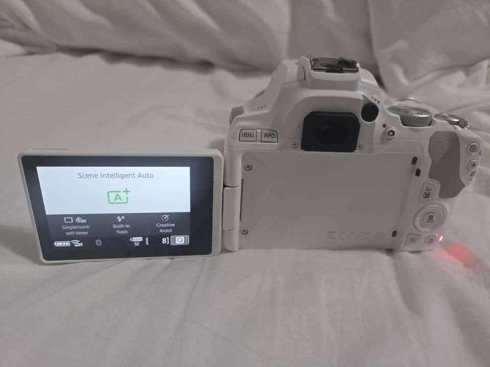 Canon EOS 250D Digital Cameras