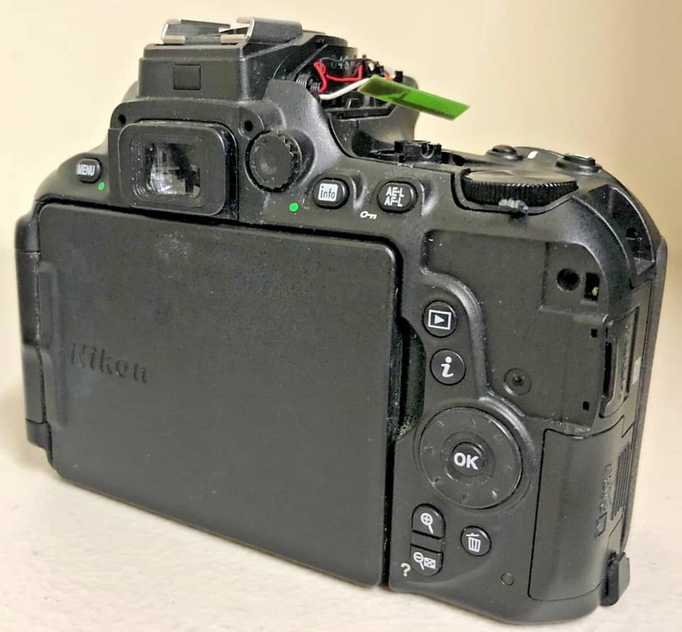 Nikon D5600 Digital Cameras