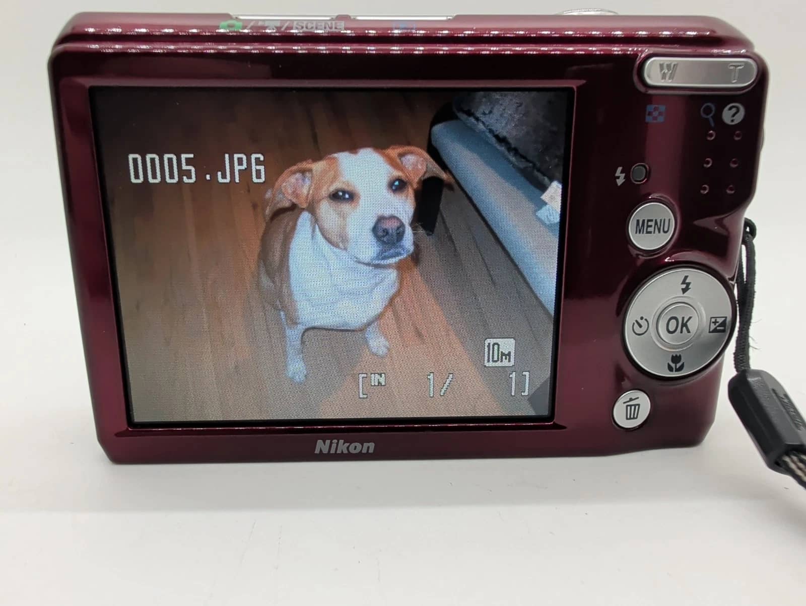 Nikon COOLPIX L20 Digital Cameras Red New Body Only