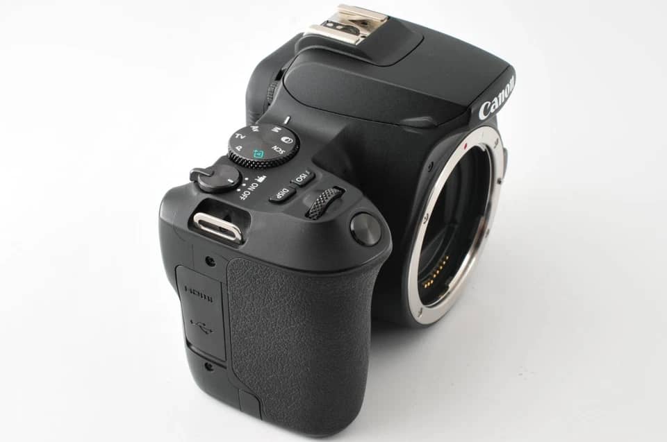 Canon EOS 250D Digital Cameras