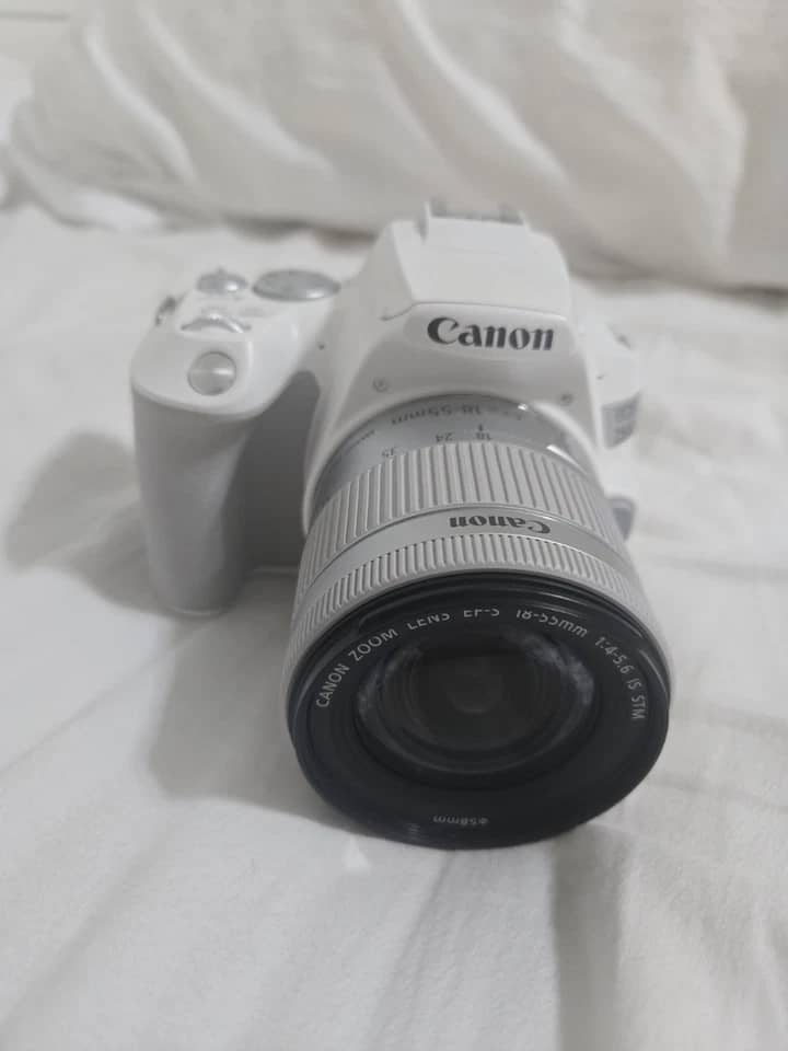 Canon EOS 250D Digital Cameras