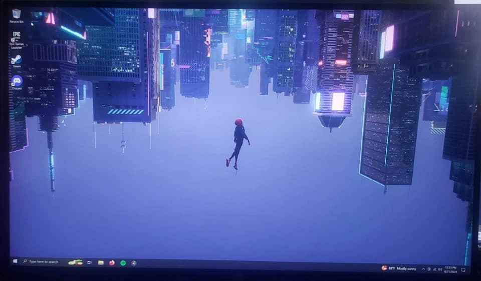 HP X27q Monitors