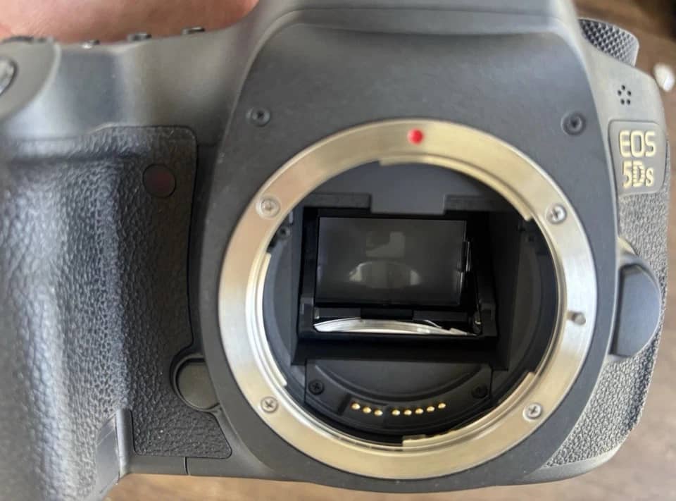 Canon EOS 5DS Digital Cameras Black New Body Only