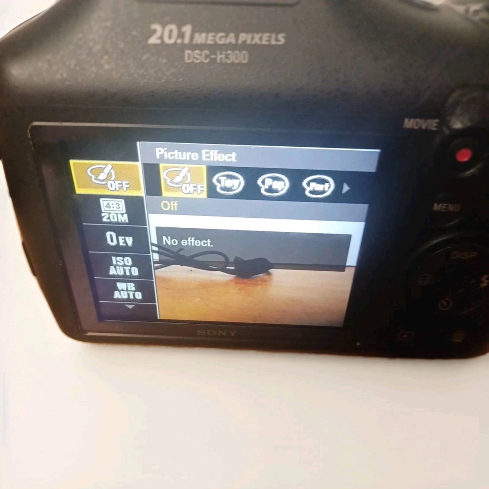 Sony Cyber-shot DSC-H200 Digital Cameras Black New Body Only