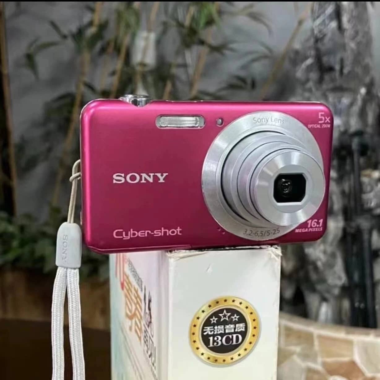 Sony Cyber-shot dsc-w710 Digital Cameras Silver New Body Only