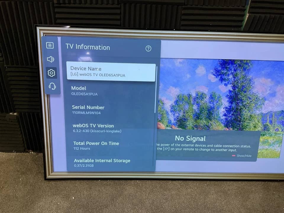 LG OLED65A1PUA TVs