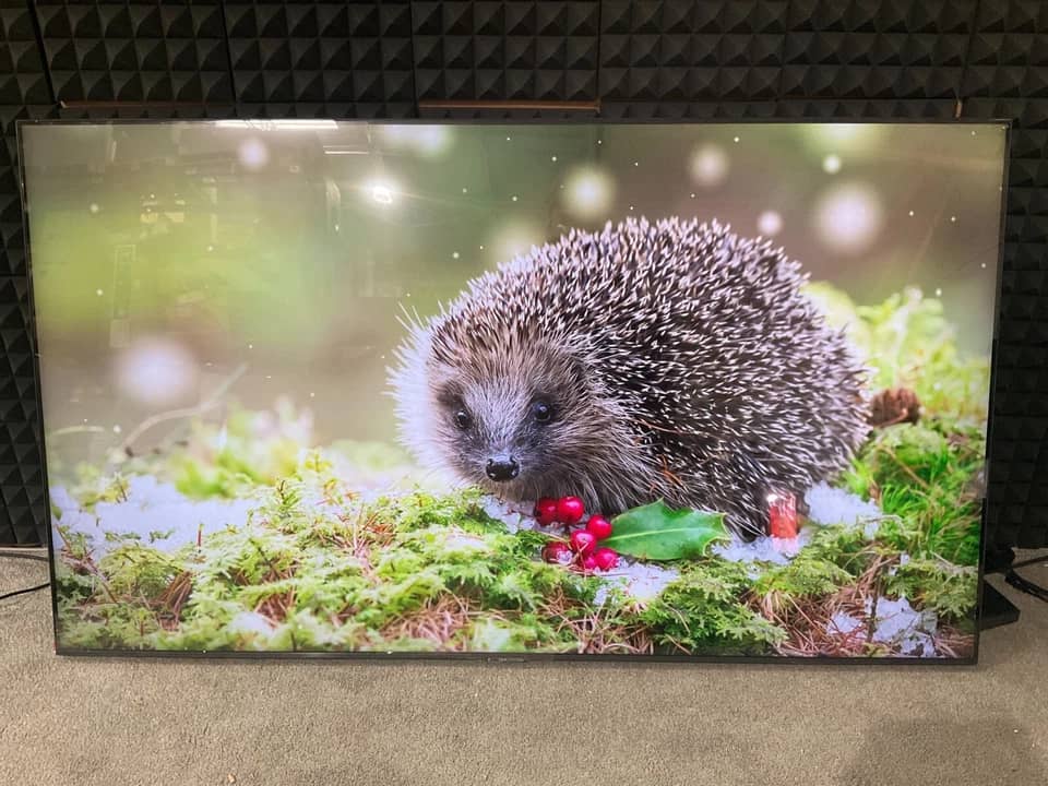 Samsung BE75T TVs