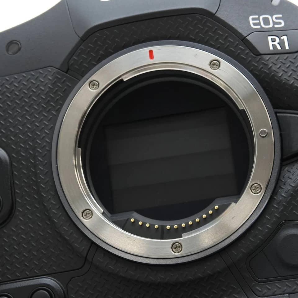 Canon EOS R1 Digital Cameras