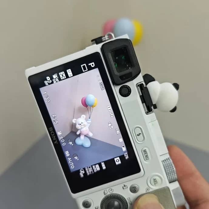 Sony Alpha 6100 Digital Cameras