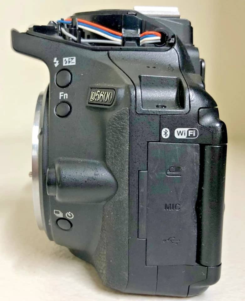 Nikon D5600 Digital Cameras