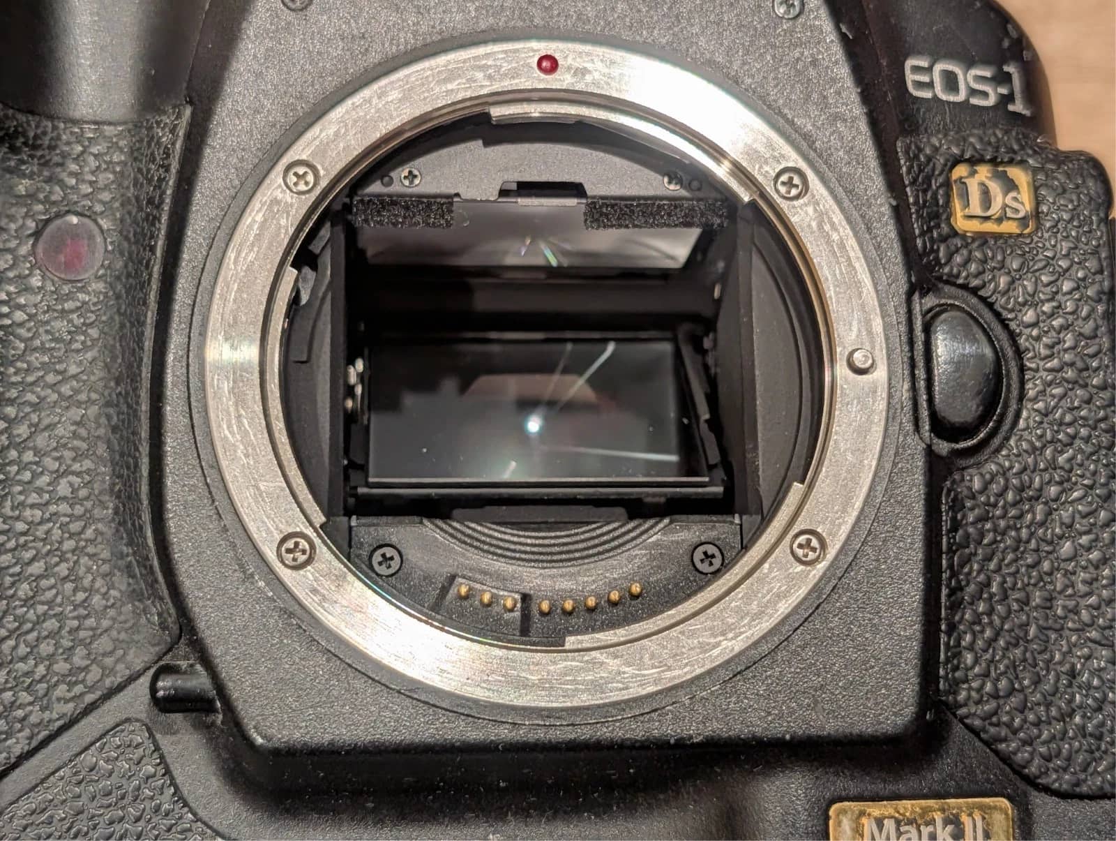 Canon EOS 1Ds Mark II Digital Cameras Black New Body Only