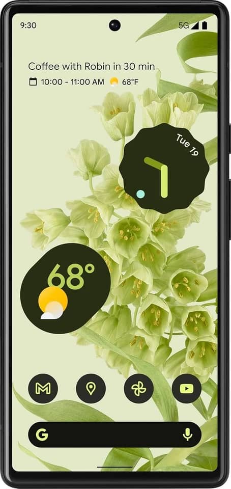 Google Pixel 6 Cell Phones