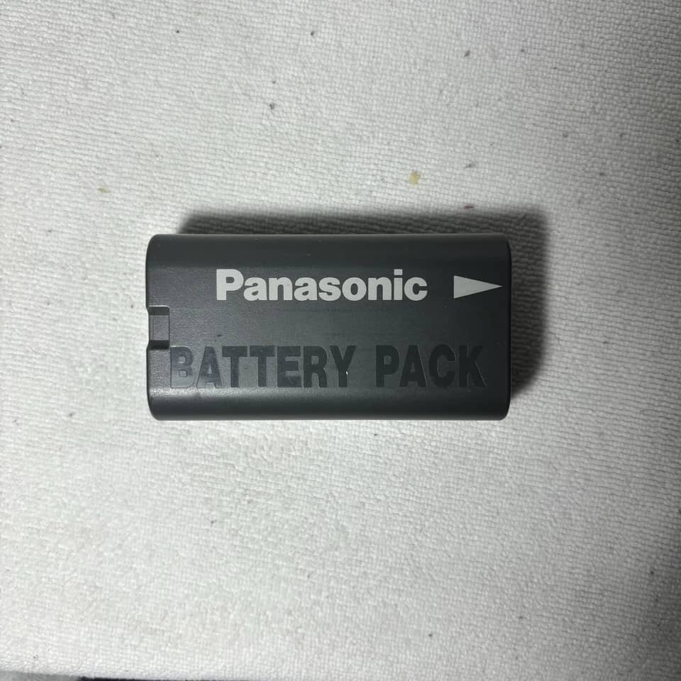 Panasonic PalmCam PV-SD4090 Digital Cameras Black New Body Only