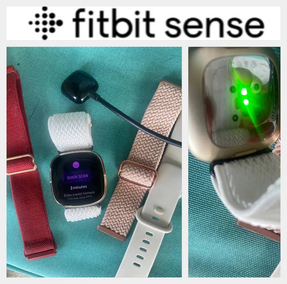 Fitbit Sense Smartwatches Graphite 40mm Open-Box Excellent
