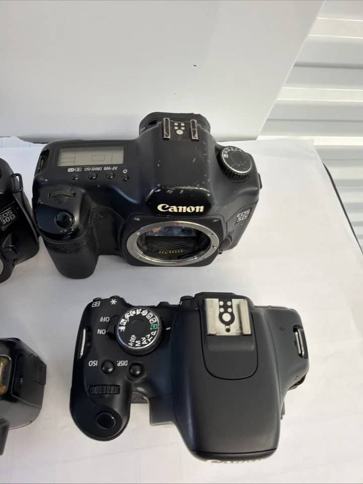 Canon EOS 30D Digital Cameras Black New Body Only