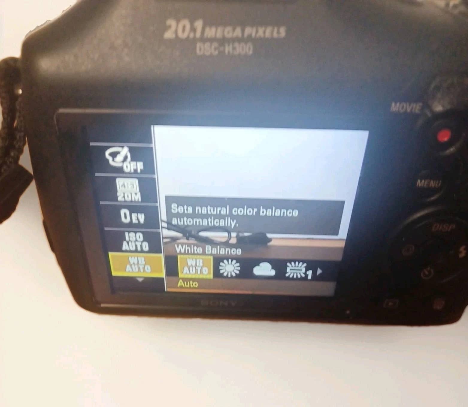 Sony Cyber-shot DSC-H200 Digital Cameras Black New Body Only