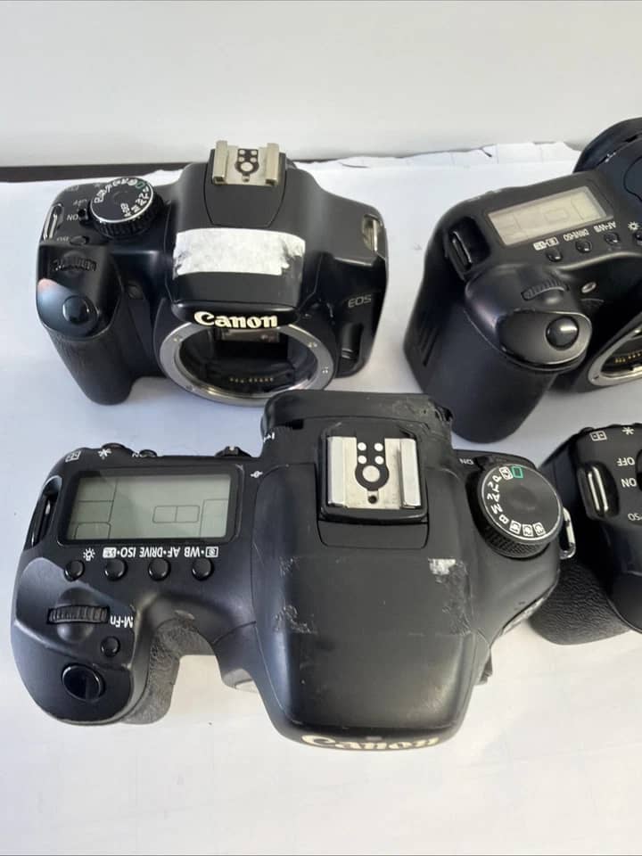 Canon EOS 30D Digital Cameras Black New Body Only