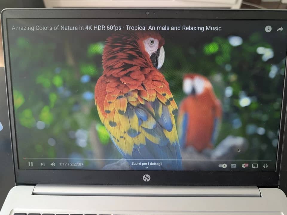 Google Chromebook 15 Computers