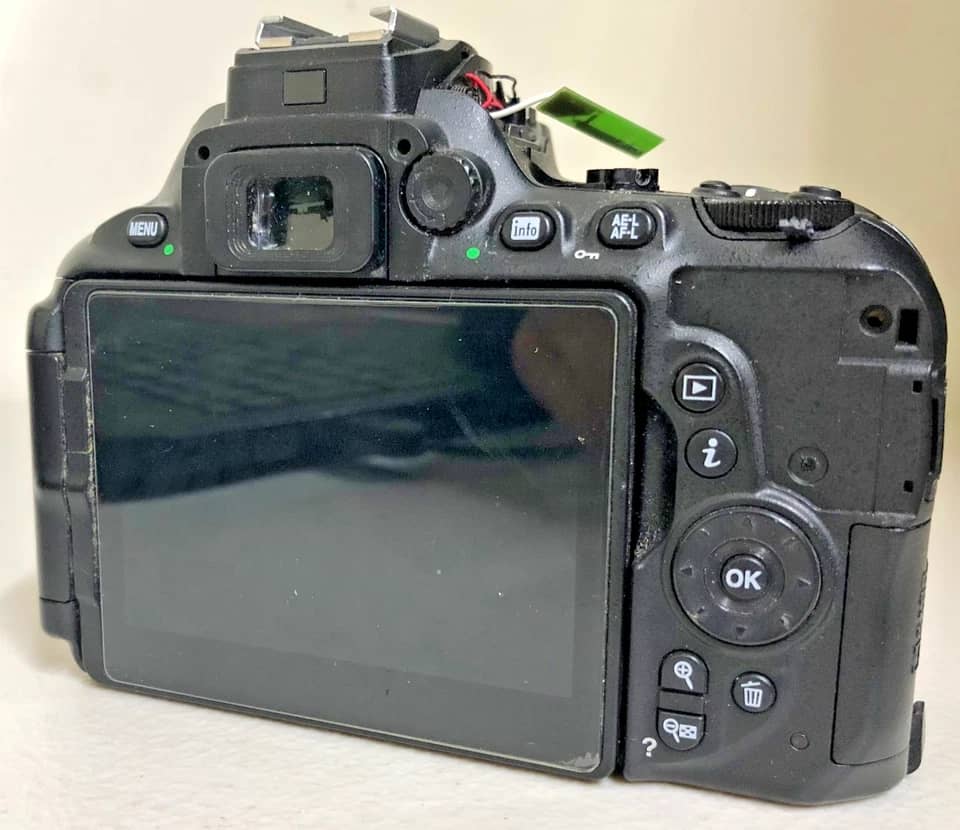 Nikon D5600 Digital Cameras