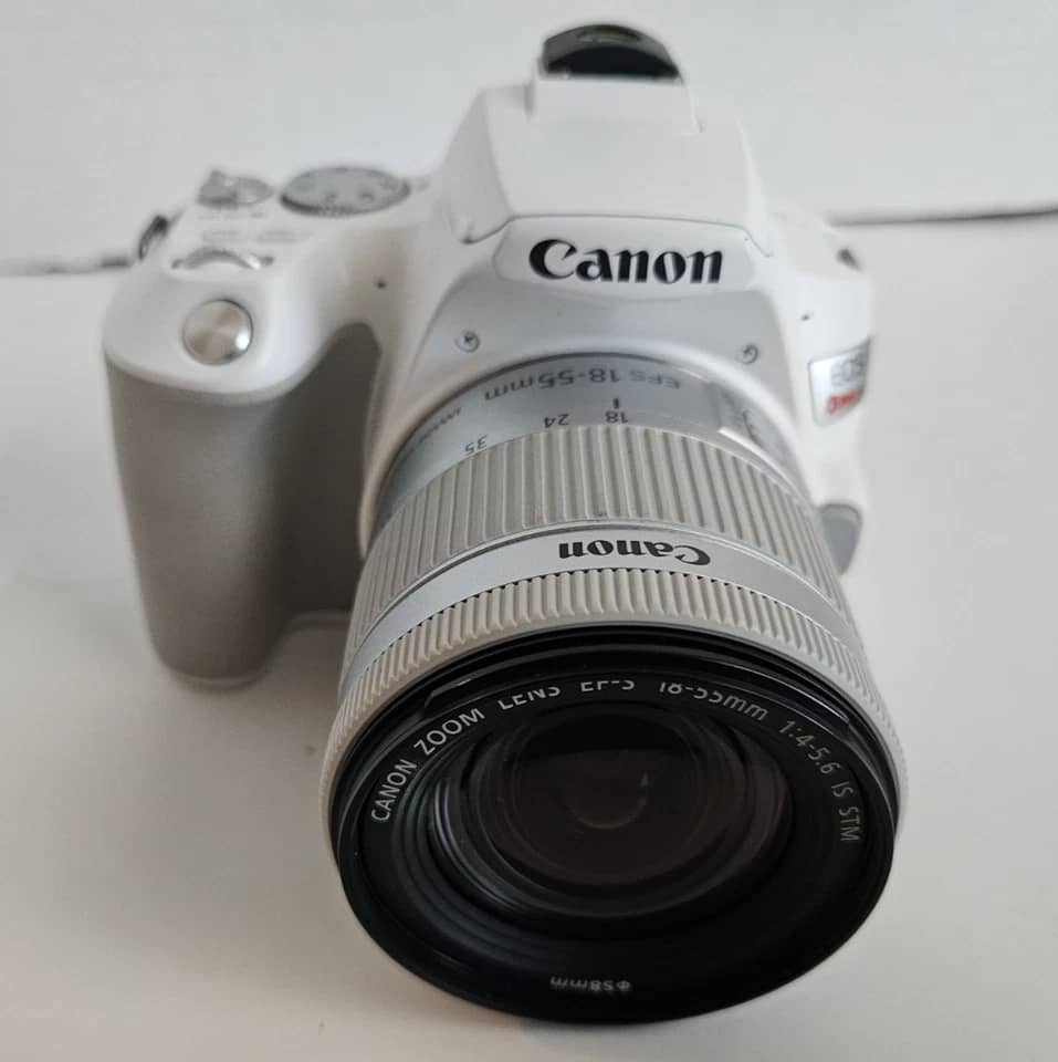 Canon EOS Rebel SL3 Digital Cameras