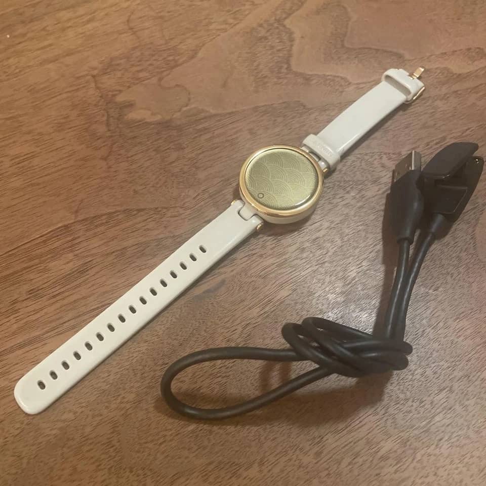 Garmin Garmin Lily Smartwatches