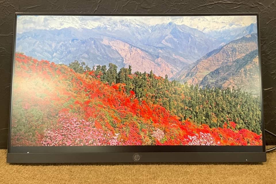 HP V24v G5 Monitors