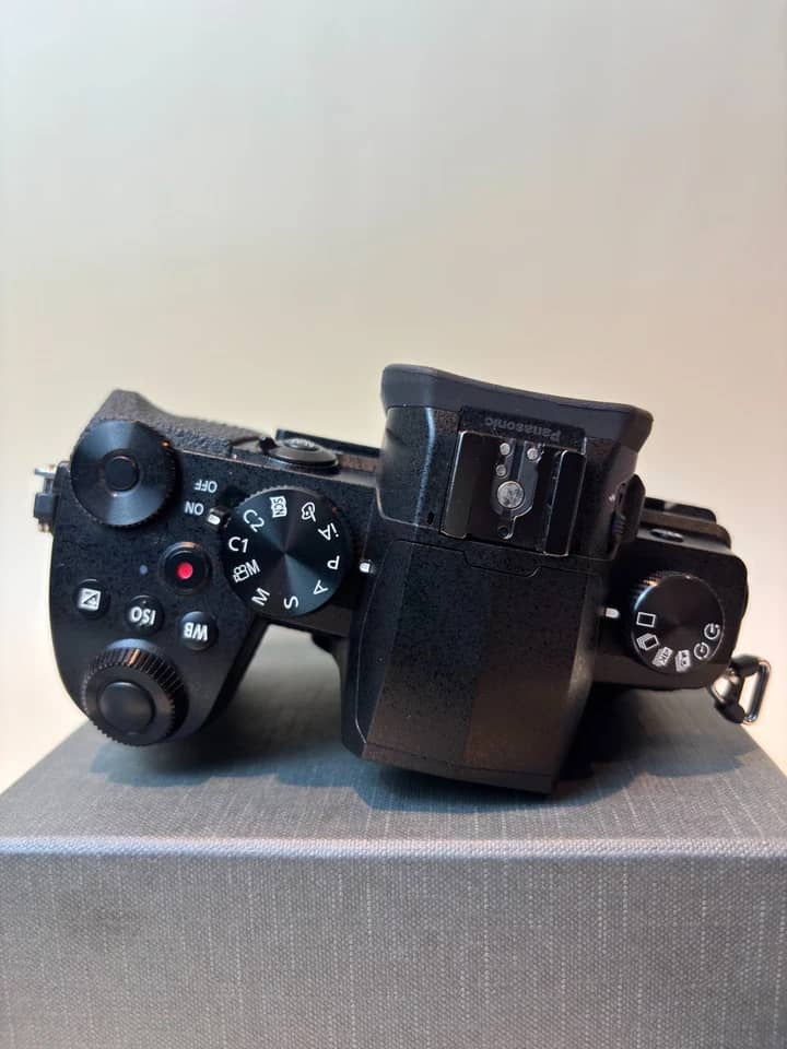 Panasonic LUMIX G95 Digital Cameras