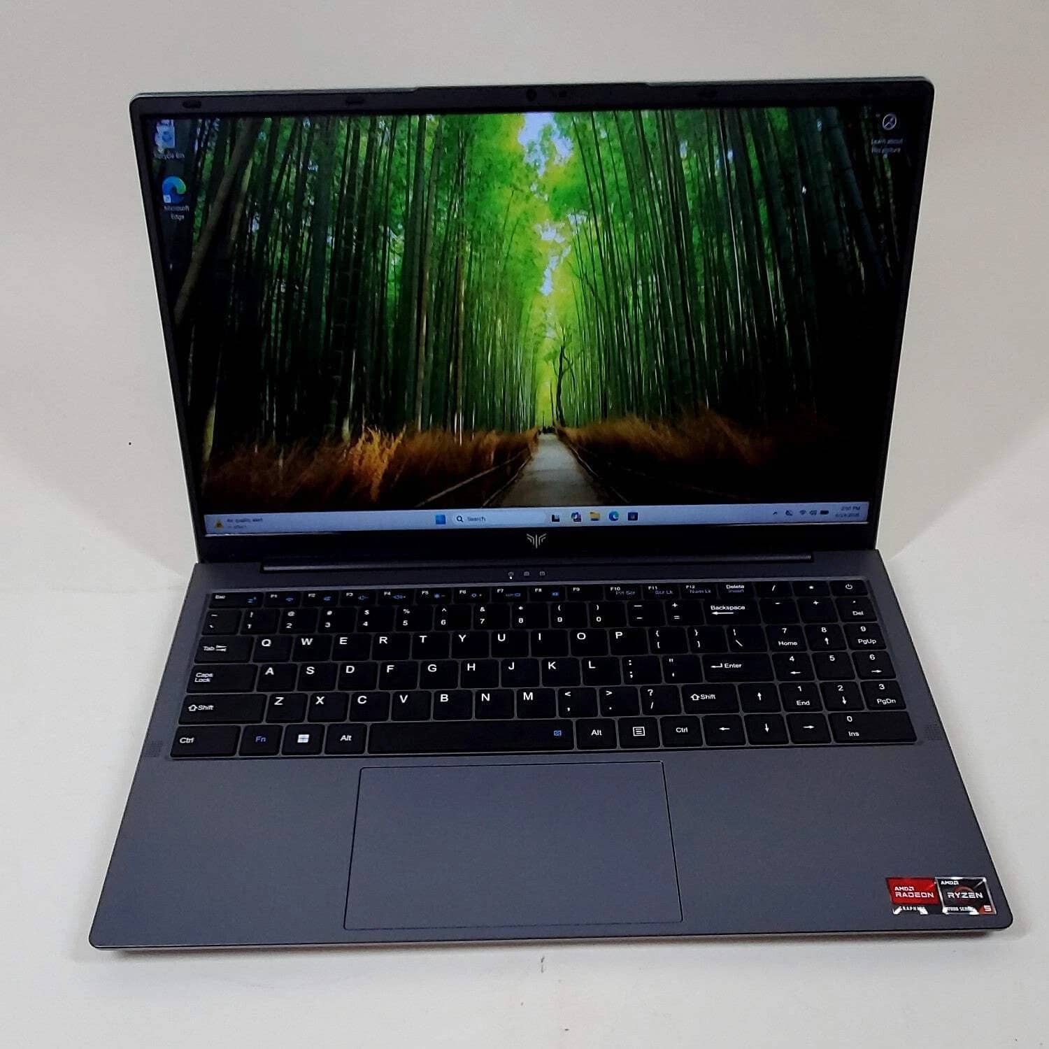 ACEMAGIC LX15PRO Computers New