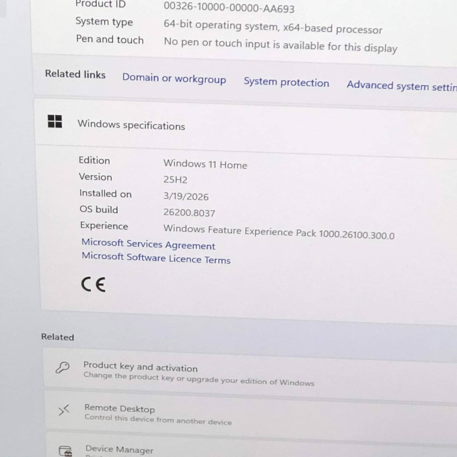 Beelink EQ Computers New